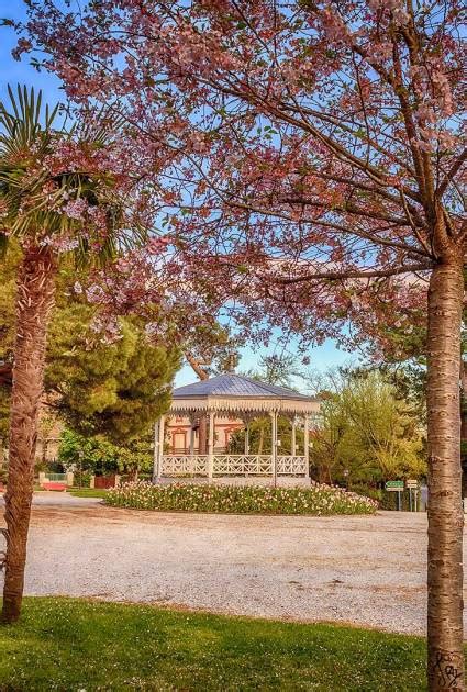 kiosque famille arcachon|Le Kiosque Arcachon Famille .